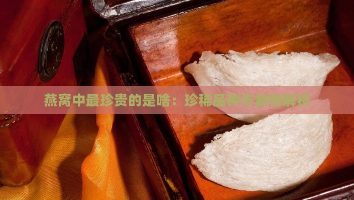 燕窝中最珍贵的是啥：珍稀品种与食物解析