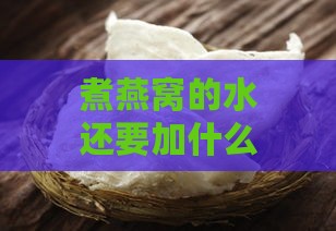 煮燕窝的水还要加什么吗好喝：如何提升口感与营养？