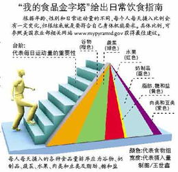 燕子窝食用指南：安全性、营养价值和潜在风险分析