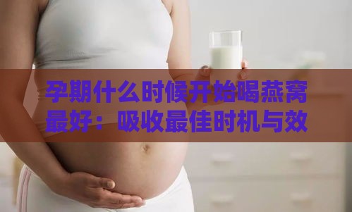 孕期什么时候开始喝燕窝更好：吸收更佳时机与效果更优时期探讨