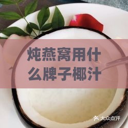 炖燕窝用什么牌子椰汁好呢，推荐椰奶选择指南