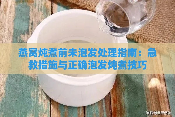 燕窝炖煮前未泡发处理指南：急救措施与正确泡发炖煮技巧