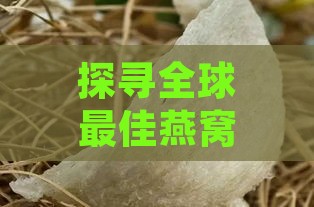 探寻全球更佳燕窝产地：揭秘顶级燕窝品质之谜