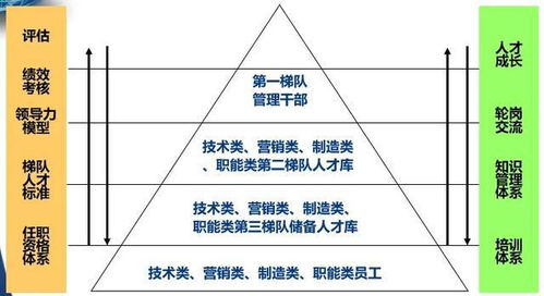 消费者的燕窝食用疑虑：揭开燕窝潜在问题的全面分析