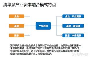 燕窝中检揭秘：含义、流程及常见问题全面解析