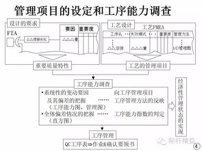 揭秘燕窝现代生产流程：高效模式与品质保障