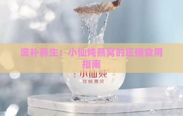 滋补养生：小仙炖燕窝的正确食用指南