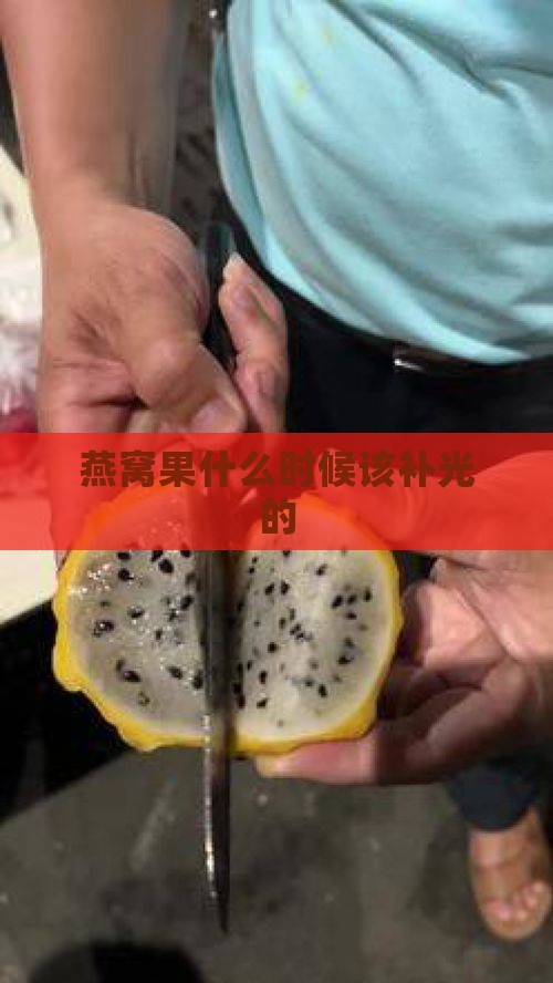 燕窝果什么时候该补光的