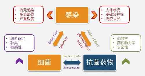 燕窝SUP含义及常见疑问解析：深入了解燕窝SUP的全方位信息