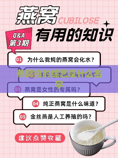 燕窝拍的综艺是什么名字