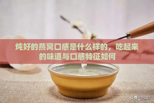 炖好的燕窝口感是什么样的，吃起来的味道与口感特征如何