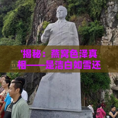 '揭秘：燕窝色泽真相——是洁白如雪还是金黄诱人？'