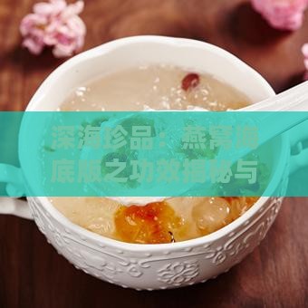 深海珍品：燕窝海底版之功效揭秘与食用指南