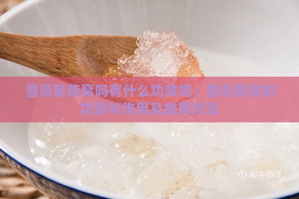 雪燕是燕窝吗有什么功效呢：雪燕燕窝的功效与作用及食用方法