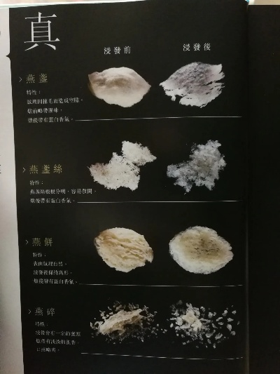 '如何准确鉴别燕窝的品质与真伪'