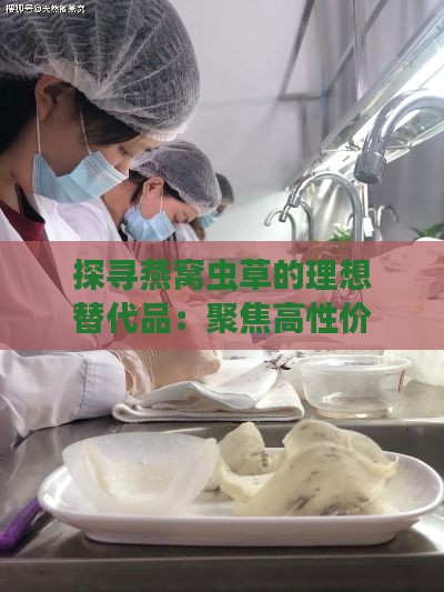 探寻燕窝虫草的理想替代品：聚焦高性价比滋补食材