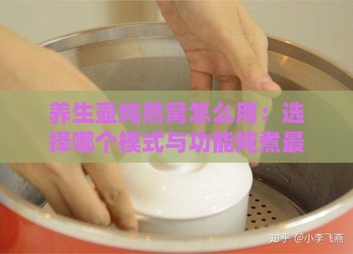 养生壶炖燕窝怎么用：选择哪个模式与功能炖煮更佳？