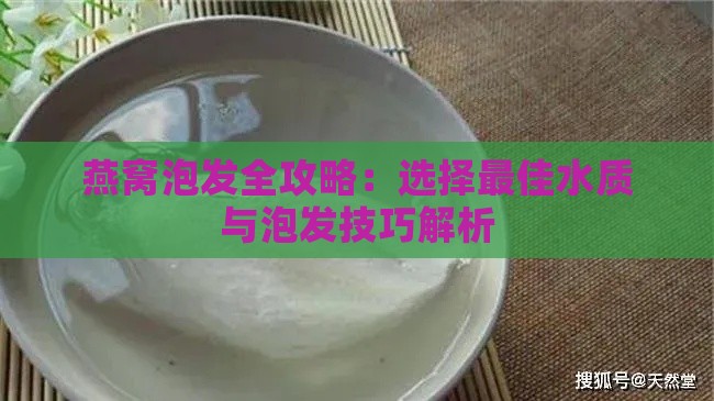 燕窝泡发全攻略：选择更佳水质与泡发技巧解析