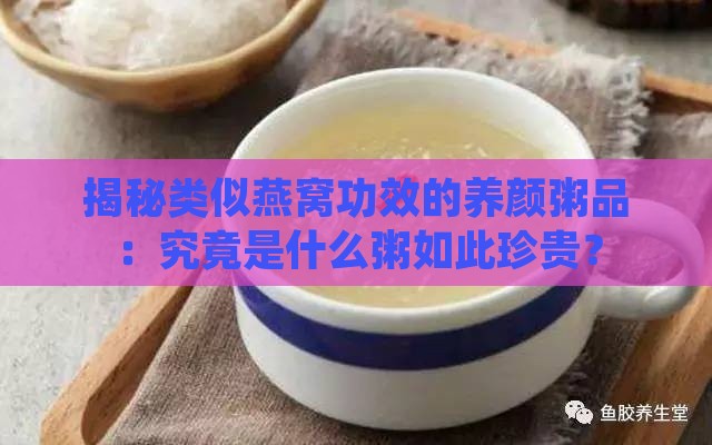 揭秘类似燕窝功效的养颜粥品：究竟是什么粥如此珍贵？