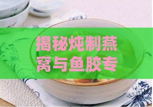 揭秘炖制燕窝与鱼胶专用炖锅：炖煮佳品的不二之选