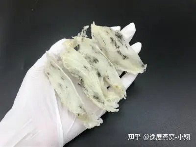 深度解析：燕角与燕盏——燕窝中的珍品差异对比