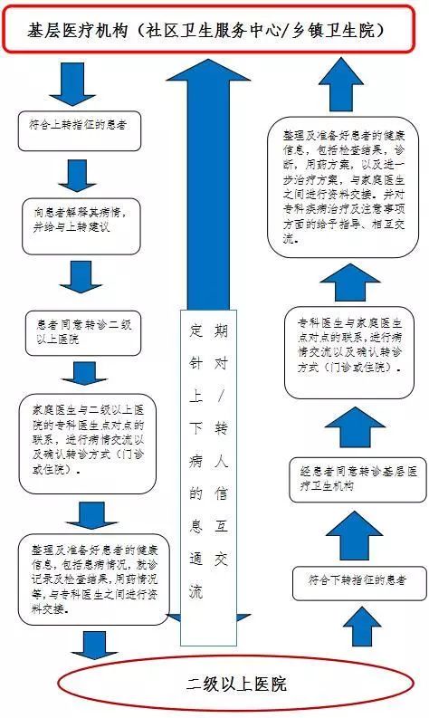 全面解析燕窝A级分级标准与选购指南：揭开燕窝质量与价值之谜