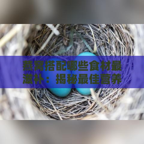 燕窝搭配哪些食材最滋补：揭秘更佳营养搭配方案