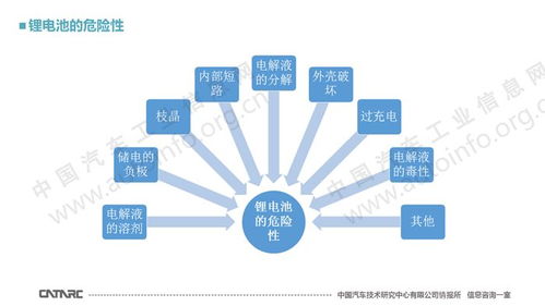 探究干燕窝味道浓重：原因分析与解决方法全解析