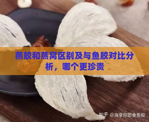 燕胶和燕窝区别及与鱼胶对比分析，哪个更珍贵