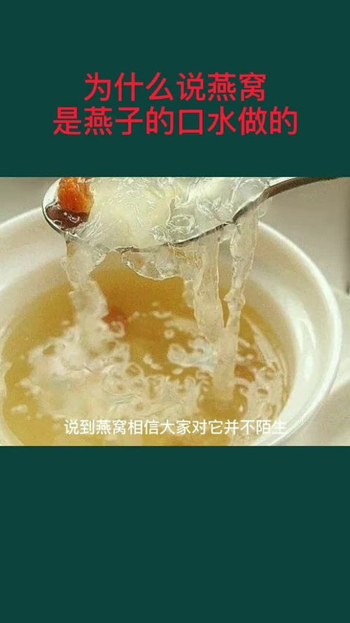 燕窝是燕子什么阶段做的