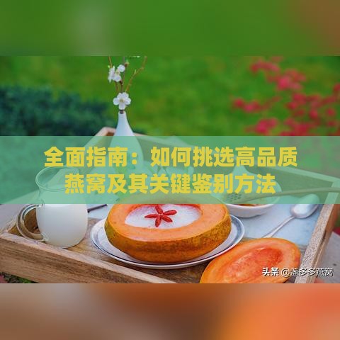 全面指南：如何挑选高品质燕窝及其关键鉴别方法