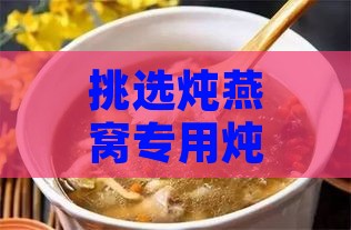 挑选炖燕窝专用炖盅：探寻性价比之王，哪个牌子更胜一筹？