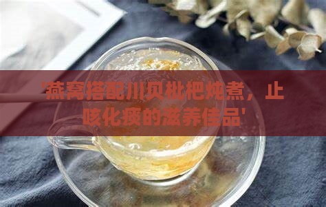 '燕窝搭配川贝枇杷炖煮，止咳化痰的滋养佳品'