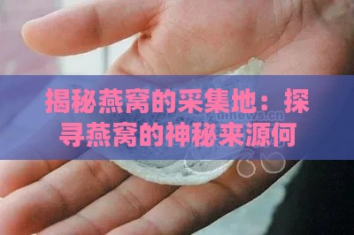 揭秘燕窝的采集地：探寻燕窝的神秘来源何处