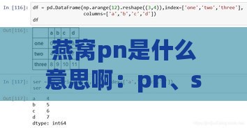 燕窝pn是什么意思啊：pn、s、p、pn1及规格r1详解