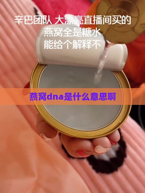 燕窝dna是什么意思啊