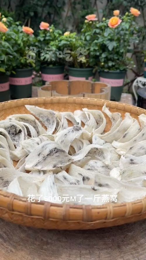 做燕窝鲜炖需要什么证书