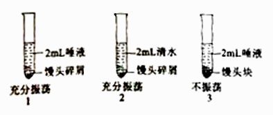 探究燕窝瓶装后的多种颜色变化及其原因分析