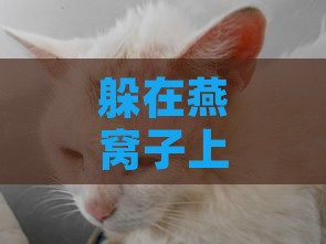 躲在燕窝子上的猫叫什么猫：躲在燕窝子上的猫叫什么猫咪？（46字节）