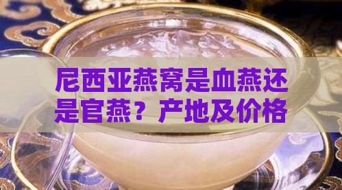 尼西亚燕窝是血燕还是官燕？产地及价格解析