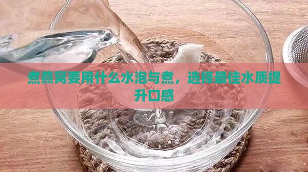 煮燕窝要用什么水泡与煮，选择更佳水质提升口感