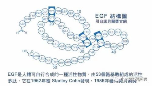 探究燕窝酸对健康的四大关键作用与益处