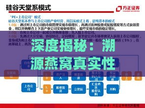 深度揭秘：溯源燕窝真实性检验与消费者选购指南