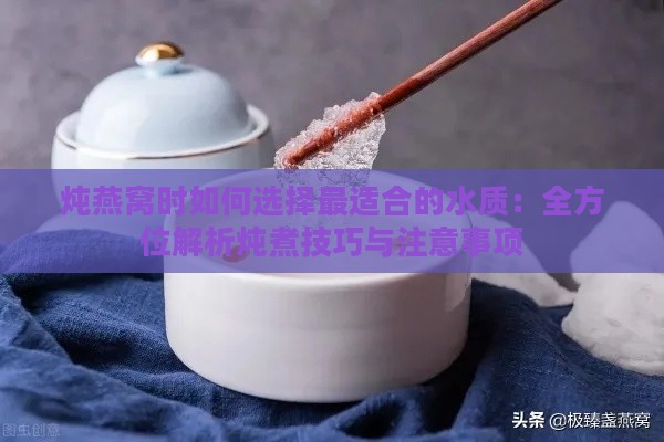 炖燕窝时如何选择最适合的水质：全方位解析炖煮技巧与注意事项