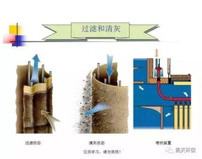 捣燕窝的影响：探讨制作工艺、原料选择与设备因素