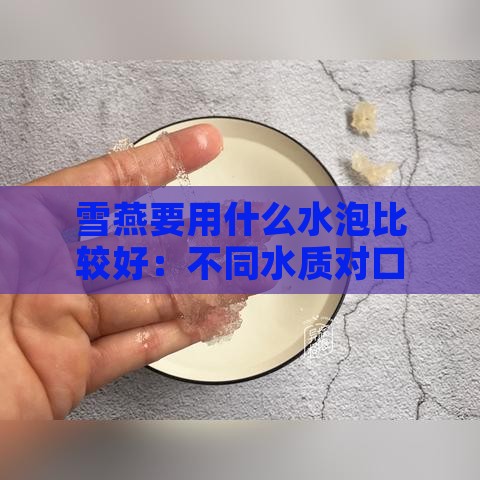 雪燕要用什么水泡比较好：不同水质对口感和营养的影响对比