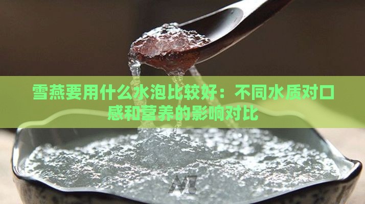 雪燕要用什么水泡比较好：不同水质对口感和营养的影响对比