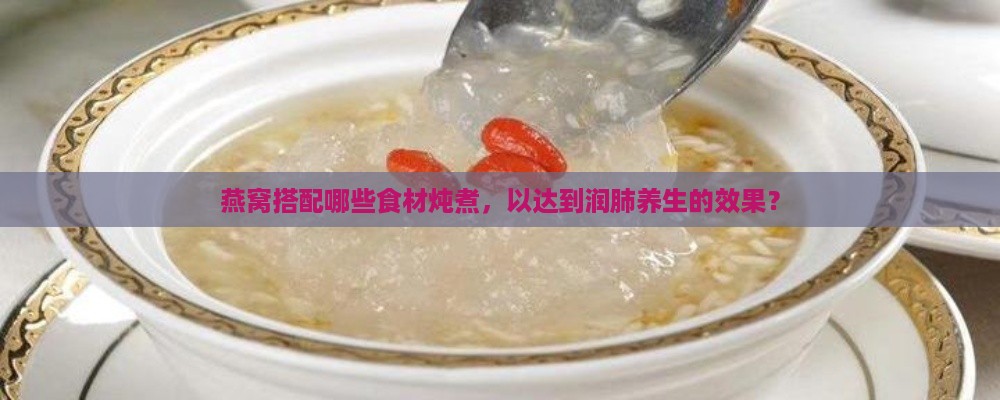 燕窝搭配哪些食材炖煮，以达到润肺养生的效果？