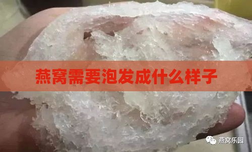 燕窝需要泡发成什么样子