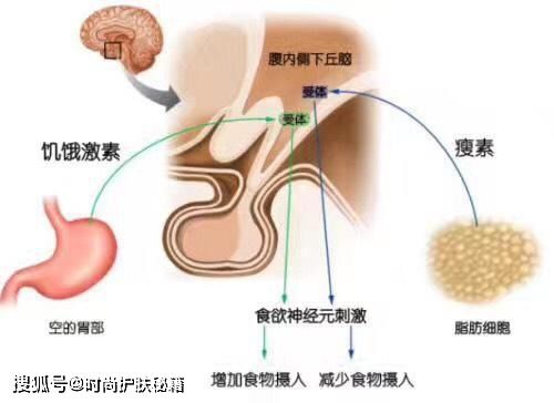 燕窝有肿块是什么东西痛的原因及处理方法